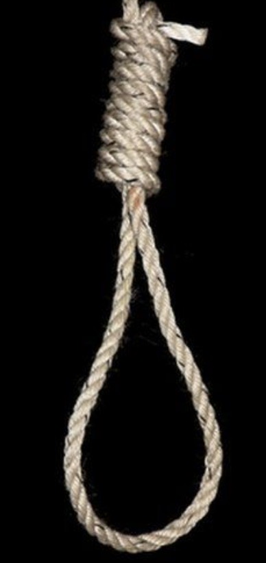 Noose